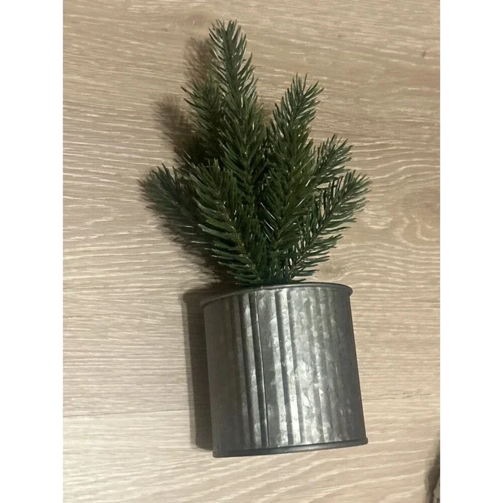 Target Small Decrative Evergreen Tree